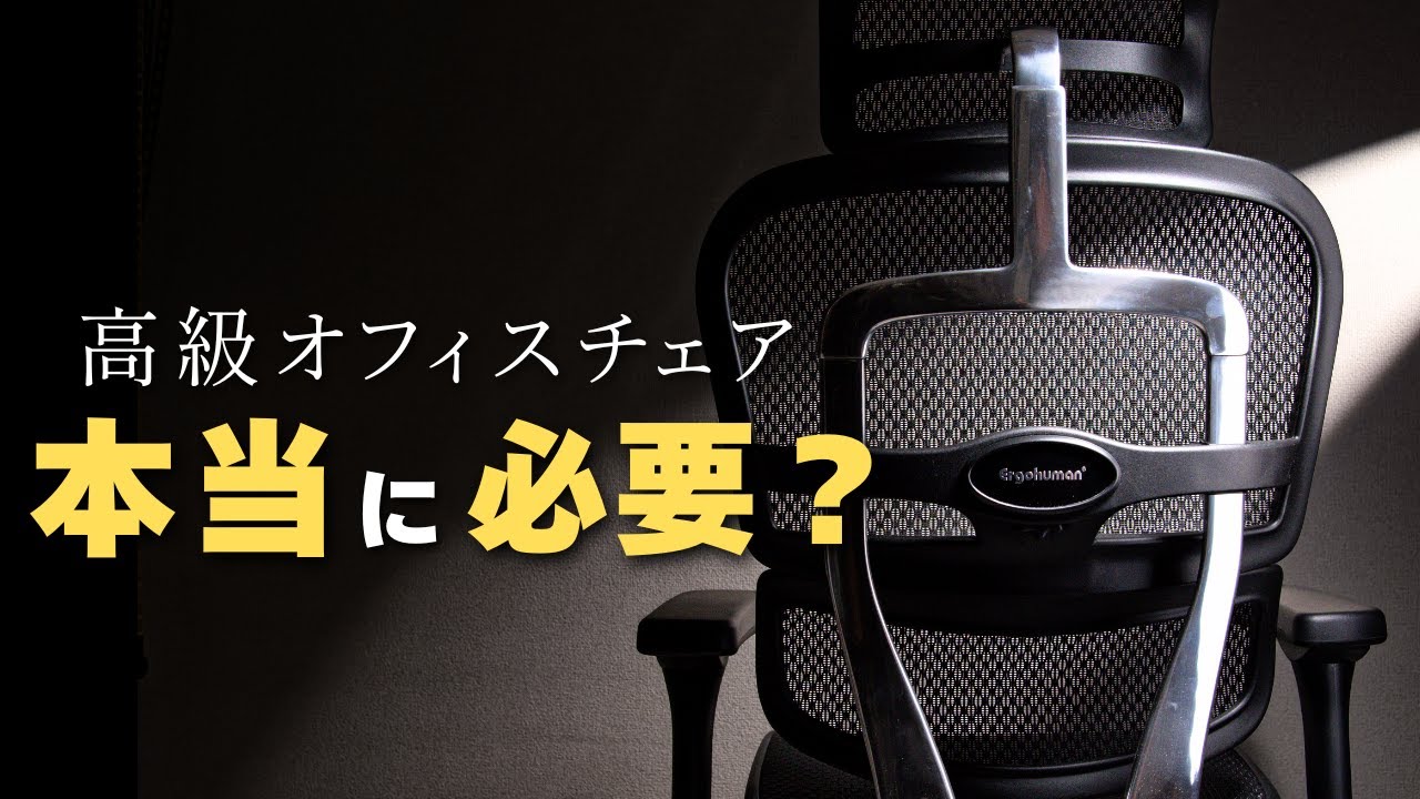 2ヶ月使って分かった「正直な答え」｜Ergohuman PRO2 Ottoman