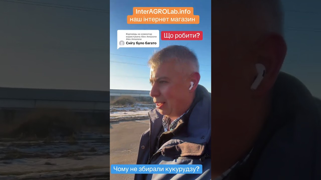Почему не собирали кукурузу?