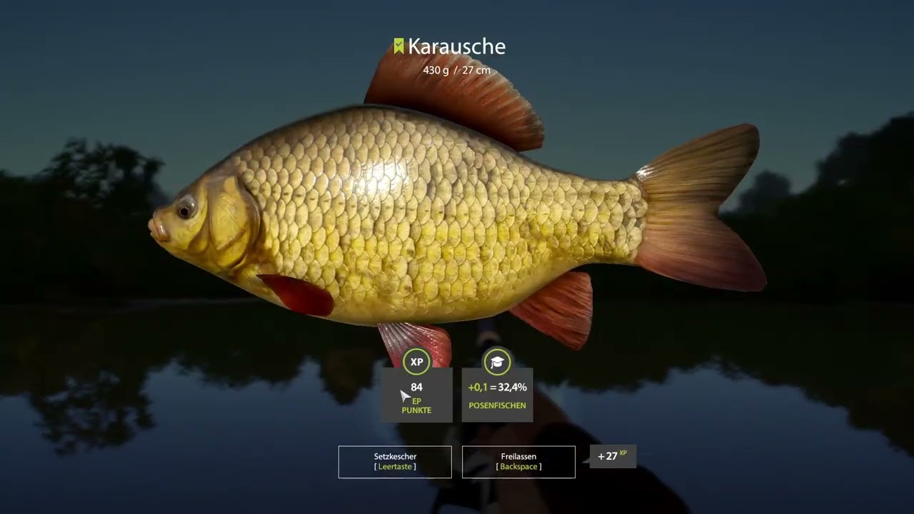 #116 Das Boloangeln &uuml;be ich am Windenbach   [Russian Fishing] [Windenbach]