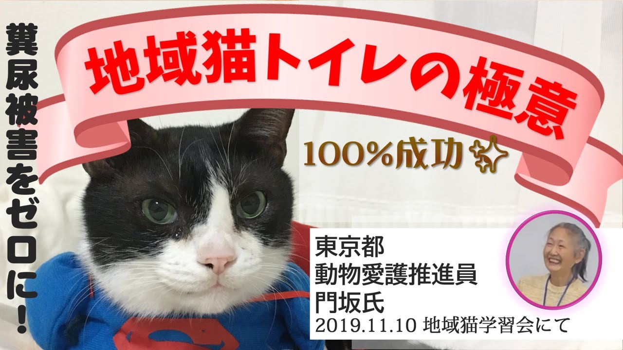 糞尿被害ゼロへ、地域猫トイレ設置の極意【東京都 動物愛護推進員 門坂氏】