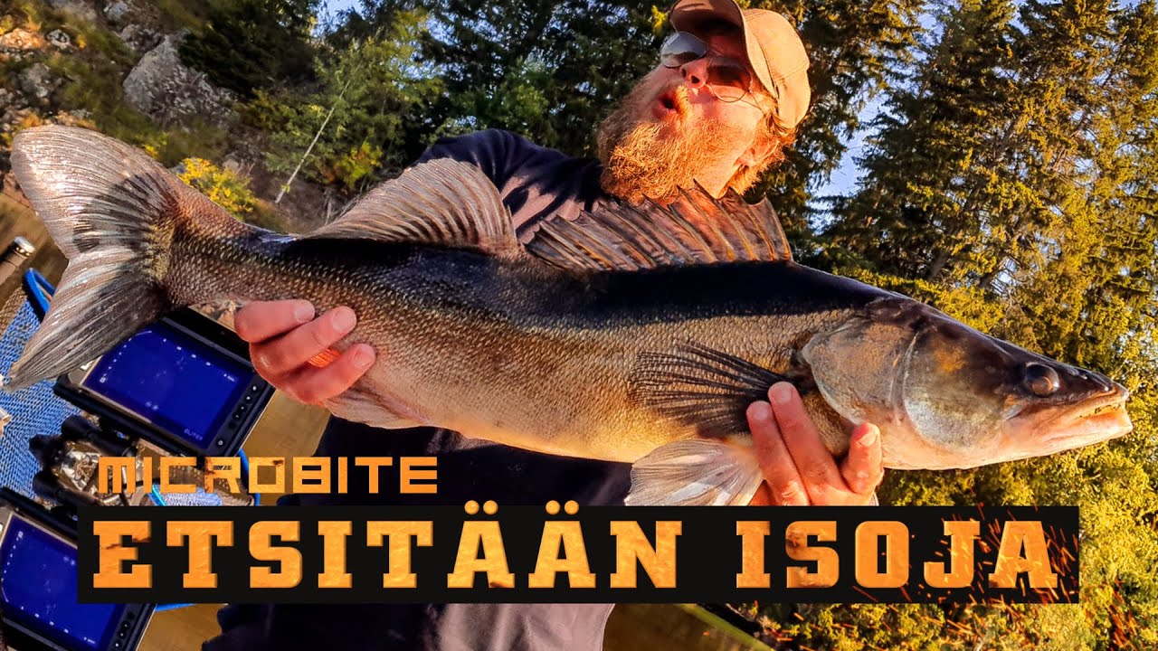 Ison kalan etsintää / Livereissun parhaat palat