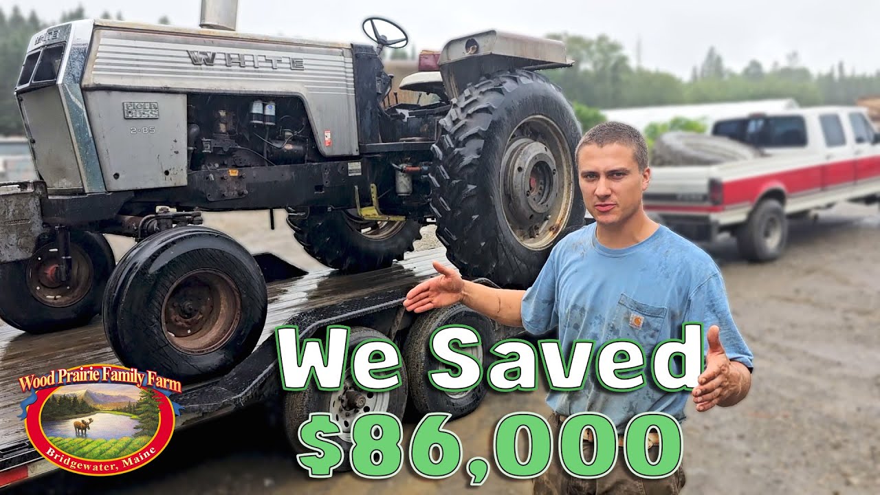 We Saved Thousands By Buying This Old Tractor