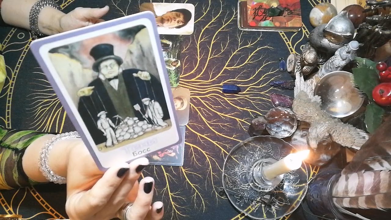🤯ПОРЧУНЫ и ГАДУНЫ в ШОКЕ!!! ЧЕМ ВЫ ИХ ИЗУМИЛИ?