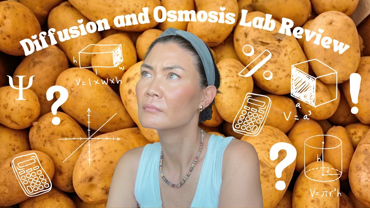 AP Biology Lab Diffusion and Osmosis
