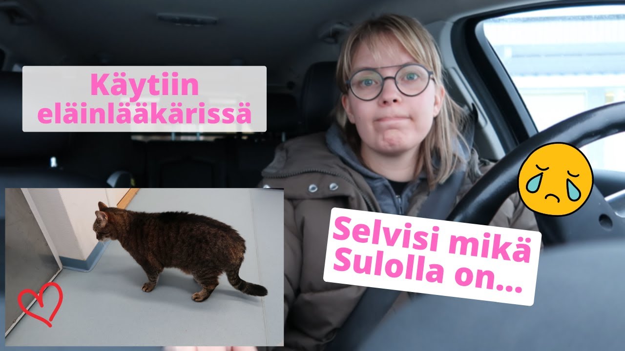 Keittiön kaapit järjestykseen | Ostin pyöräkärryn