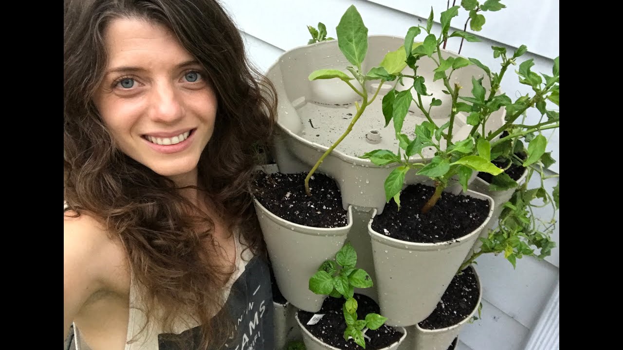 Salvaging the Season: Welcome to New Jersey! (& GreenStalk Garden Setup)