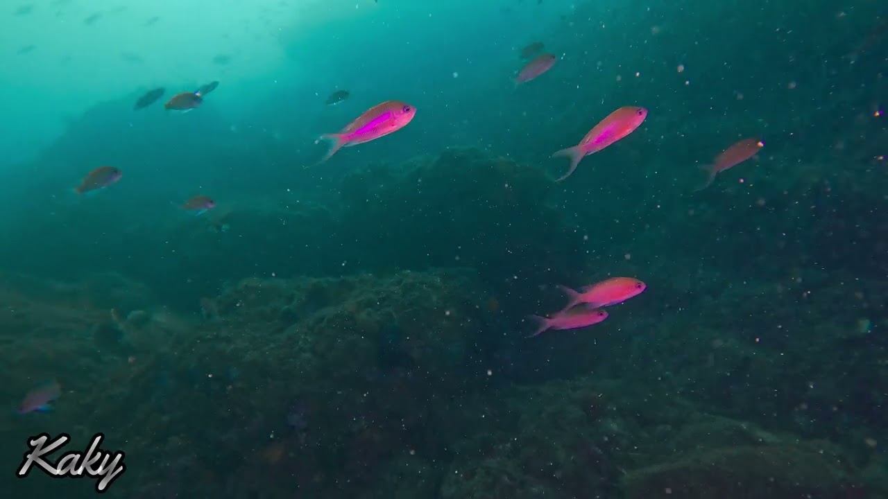 Punta de la mona y Calita 0202