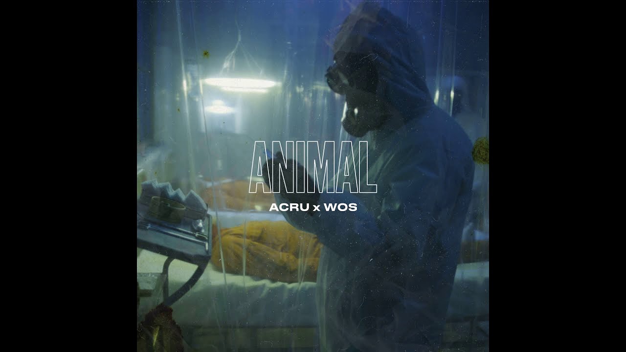 Wos x Acru   ANIMAL