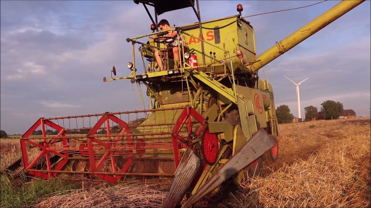 Oldtimer Einsatz bei der Dinkel Ernte, Claas Matador Gigant Bj. 1963.