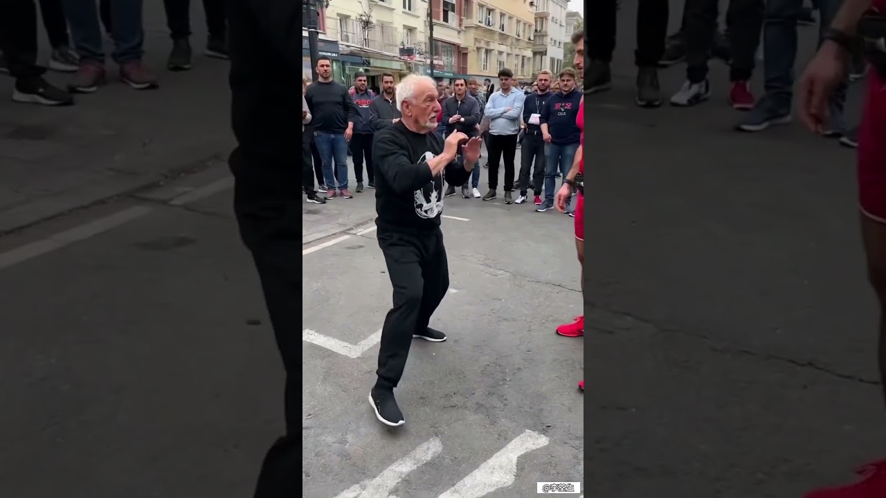 Chinese Kung Fu #fight #ufc #kungfu