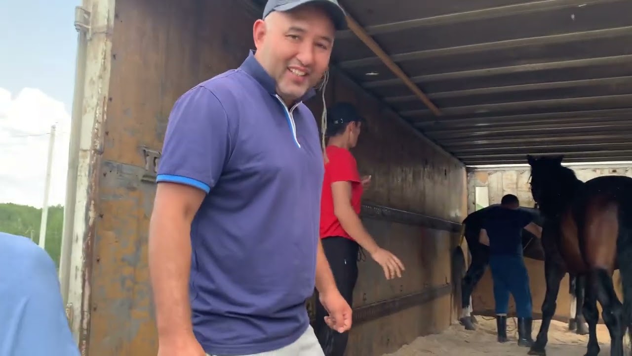 Новосибирск Алтайга улака жонодук
