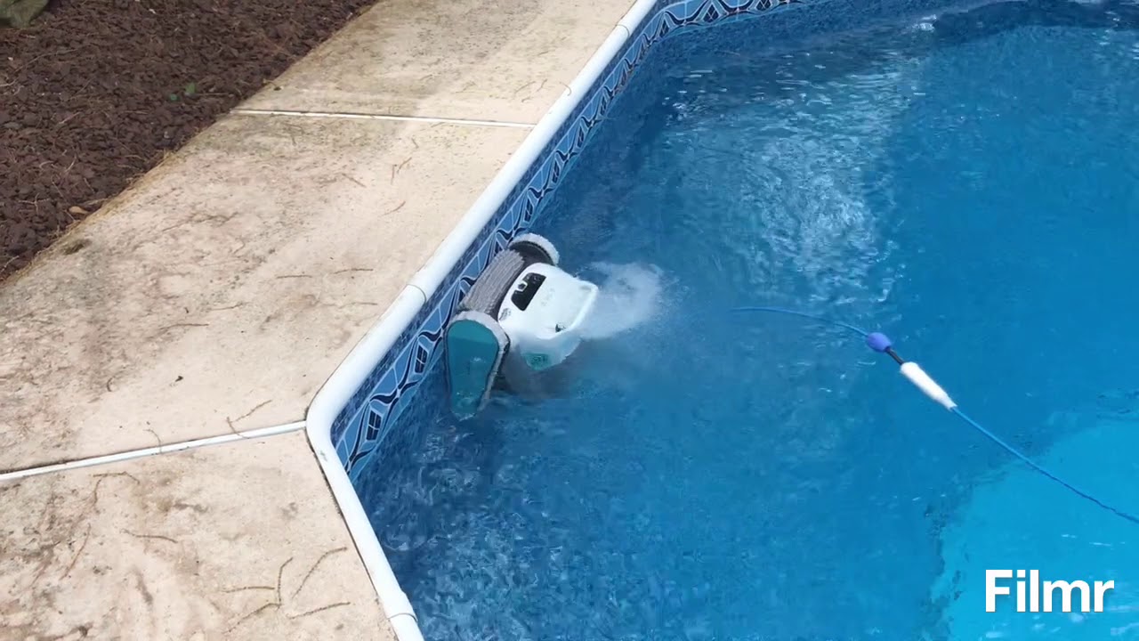 Dolphin Active 30 first impressions