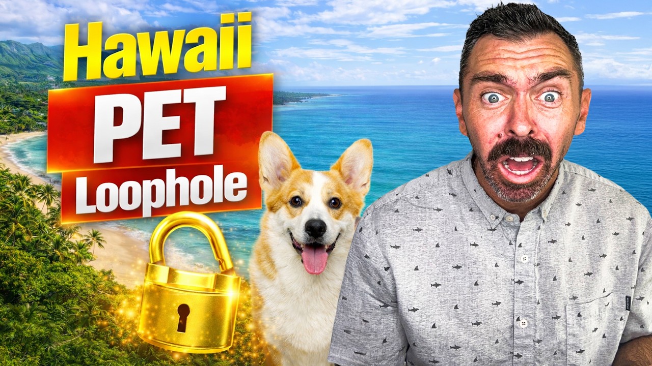 Moving To Hawaii With Your Pets? 🐶 | Things You Must Know Before Bringing Your Pets to Hawaii!