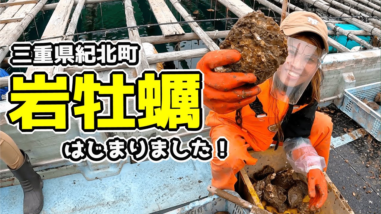 【岩牡蠣】これから旬の、どうまい牡蠣！三重県紀北町にあります！