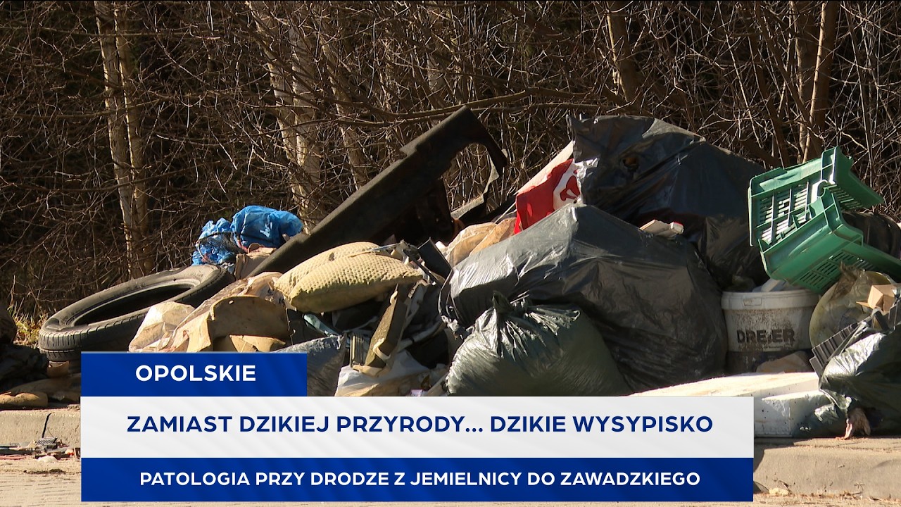 Zamiast dzikiej przyrody... dzikie wysypisko. Patologia przy drodze z Jemielnicy do Zawadzkiego
