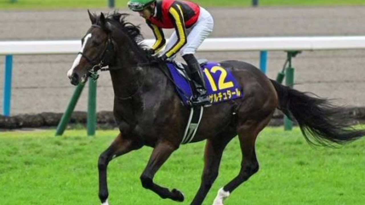 🏇波乱の結末！ゲルチュタール重賞初V、11番人気ファイミリータイム惜しくも2着🔥／日経新春杯