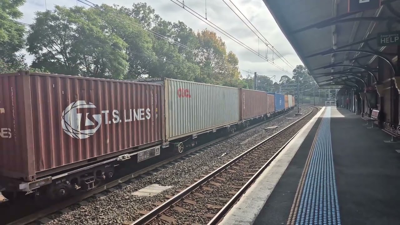 C502   508   going  pass  Beecroft  Station  in  March  2025 thank you  for  toot  and  Wave  too 
