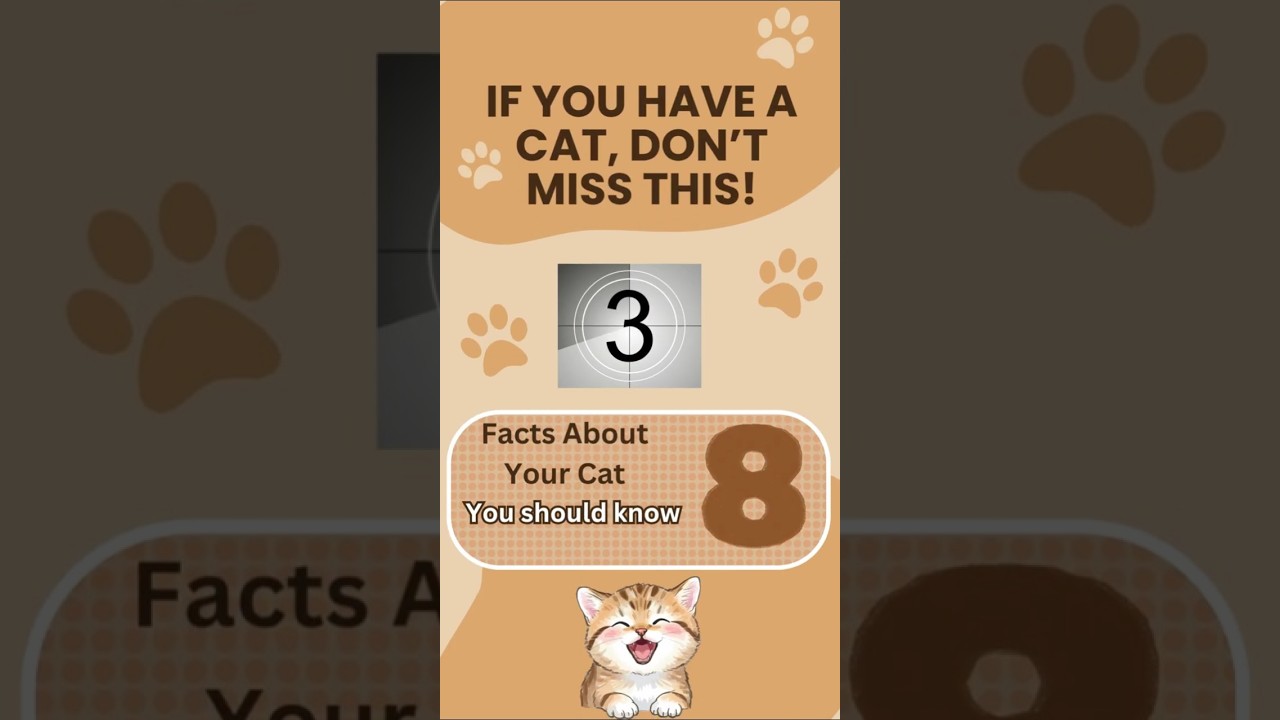#cats