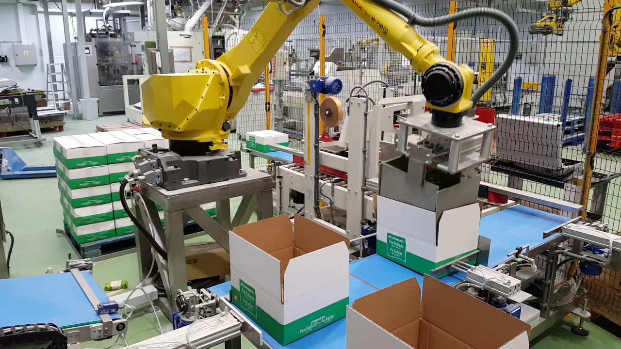 ROBOT CASE PACKING / ROBOT MISE EN CAISSE