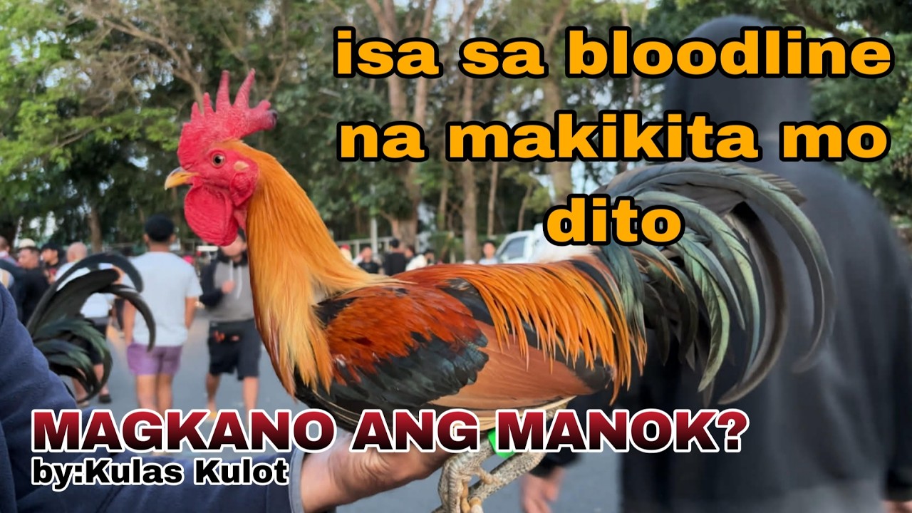 Baka pumpkin lover ka marami dito tuwing sabado