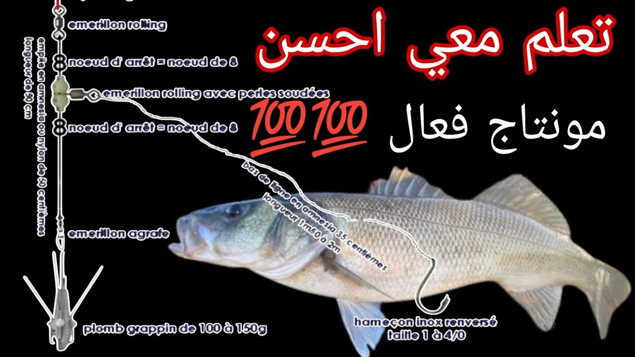 تعلم مونتاج لجميع المصايد و فعال لجميع انواع الاسماك خاصة الاسماك الكبيرة.