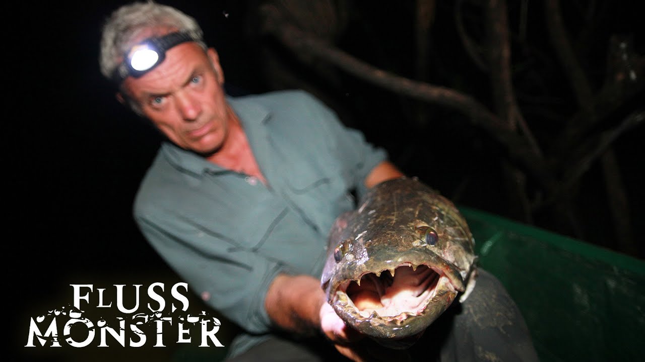 Der Hoplias Aimara: Furchterregender als Piranhas | S3 E07 | Fluss Monster