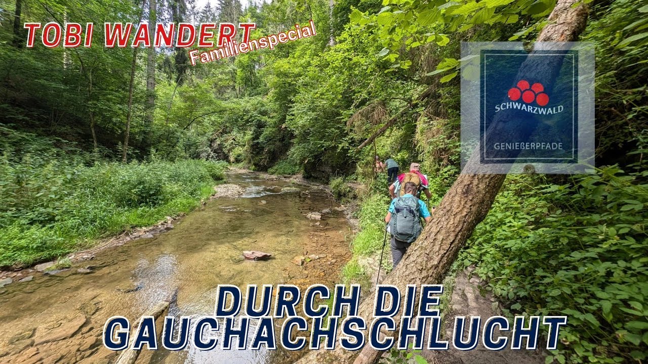 Wanderung durch die Gauchachschlucht - Unterwegs auf Schwarzwälder Genießerpfaden
