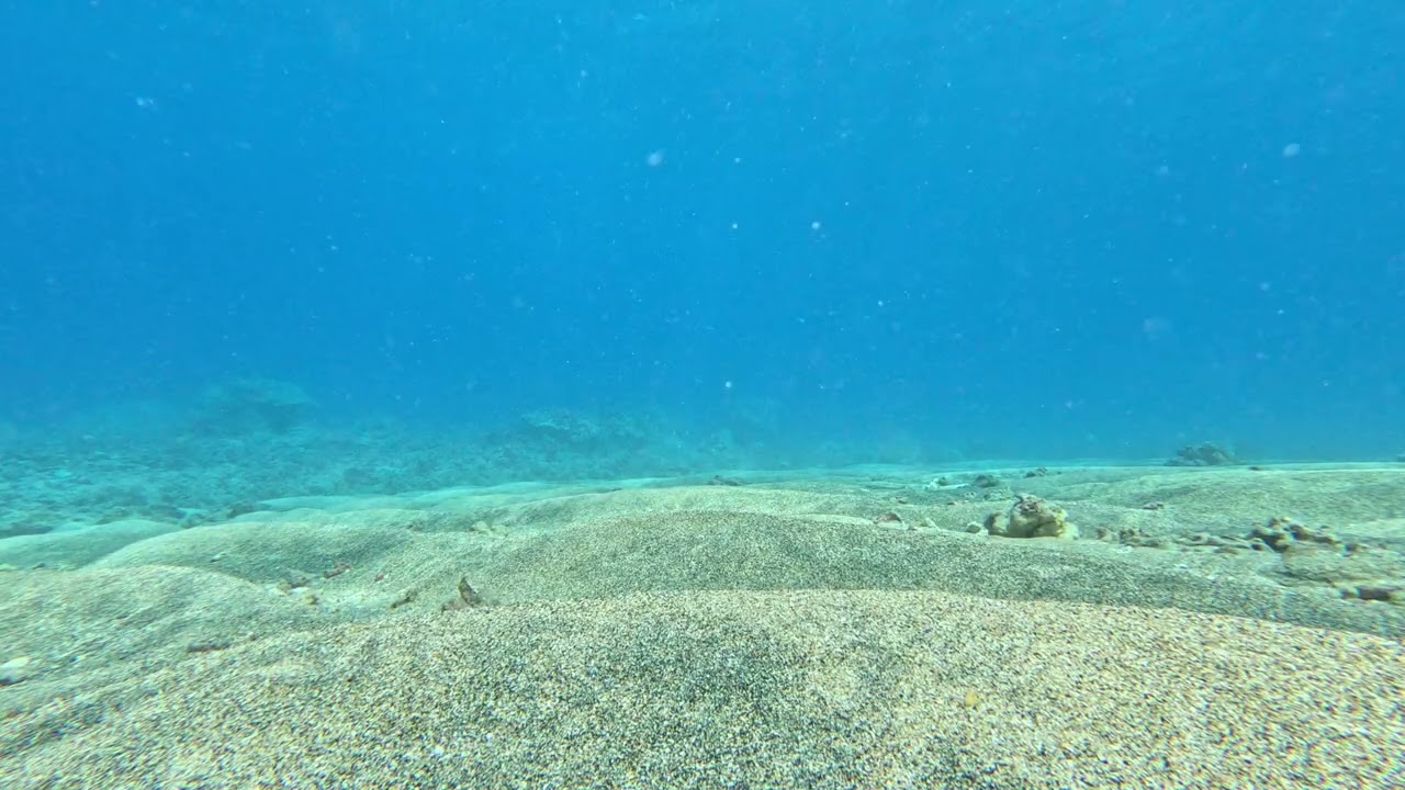 Maui 1609
