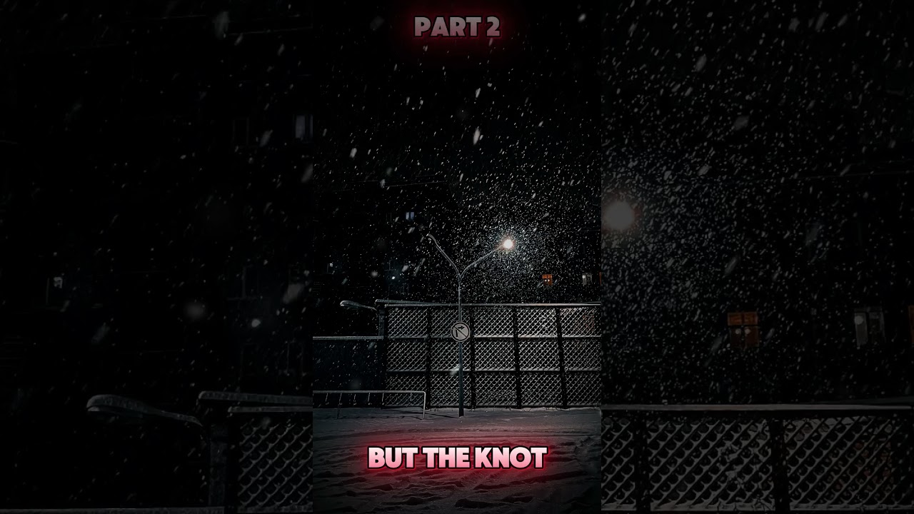 True Christmas Horror Story 