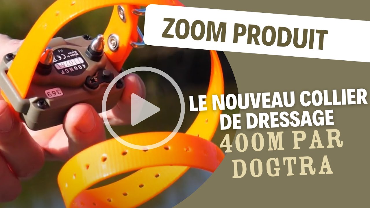 Le nouveau Collier de Dressage 400m par Dogtra pour Terres & Eaux