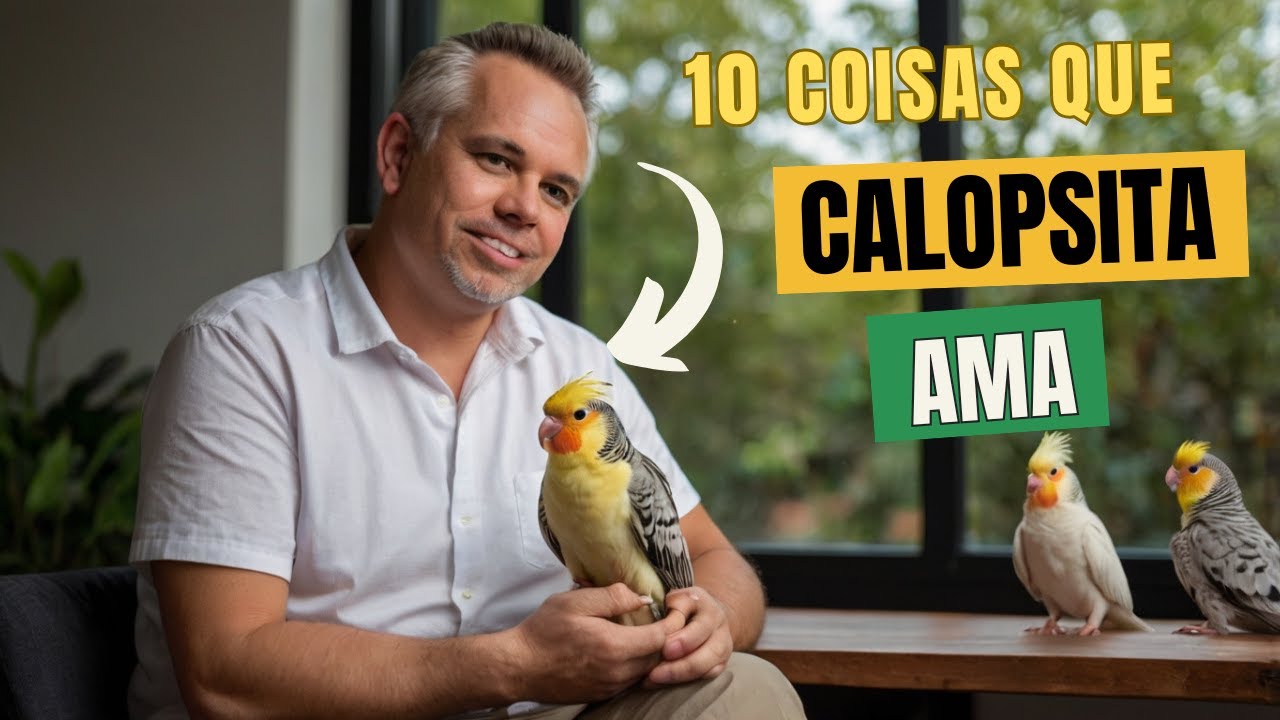 10 COISAS QUE A SUA CALOPSITA AMA