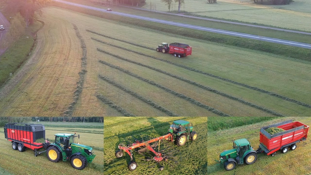 Grass silage at a dairy farm
