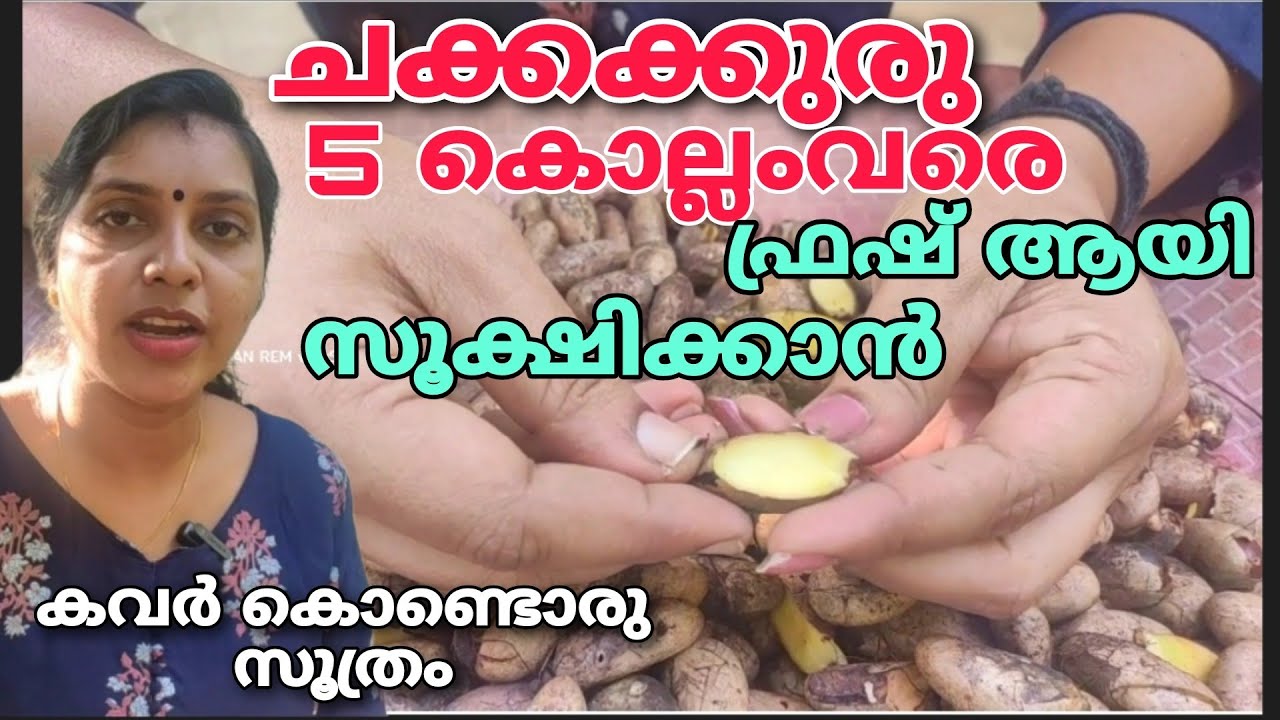 ചക്കക്കുരു 5കൊല്ലംവരെ fresh ആയിസൂക്ഷിച്ചുവെക്കാൻ കവറ്കൊണ്ടൊരു സൂത്രം|Jack frult seed storage  method