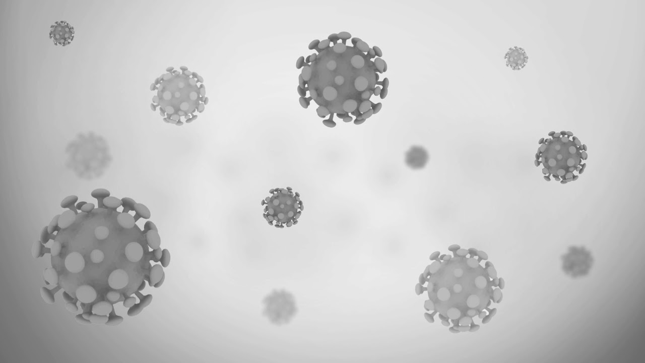 Virus animation video | Background animation | Royalty-free stock footage | COVID-19 Patter 03