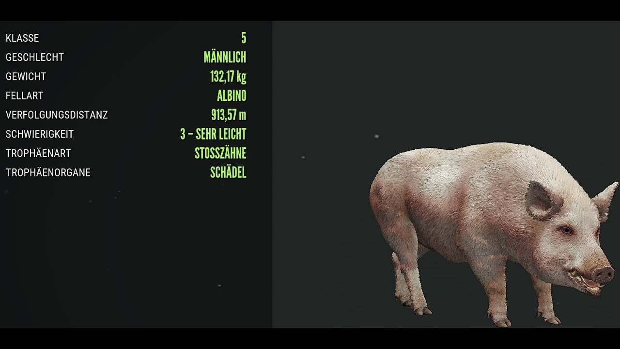 #TheHunter 2/131: Sonntägliche Jagd mit der Community heute in Neuseeland