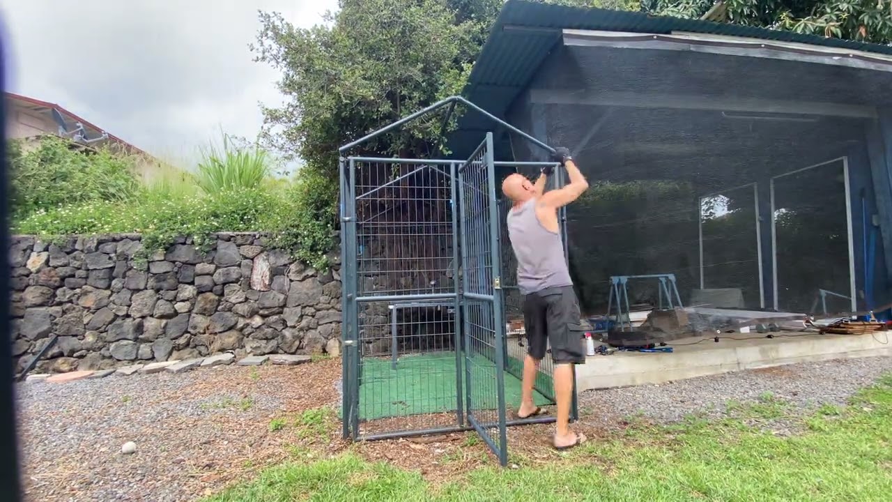 Kennel Build