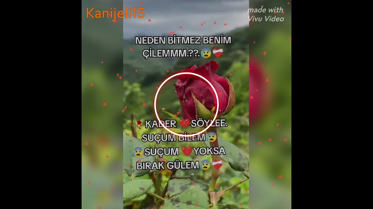Bırak gam kederi... Elektro bağlamalı damar türkü...