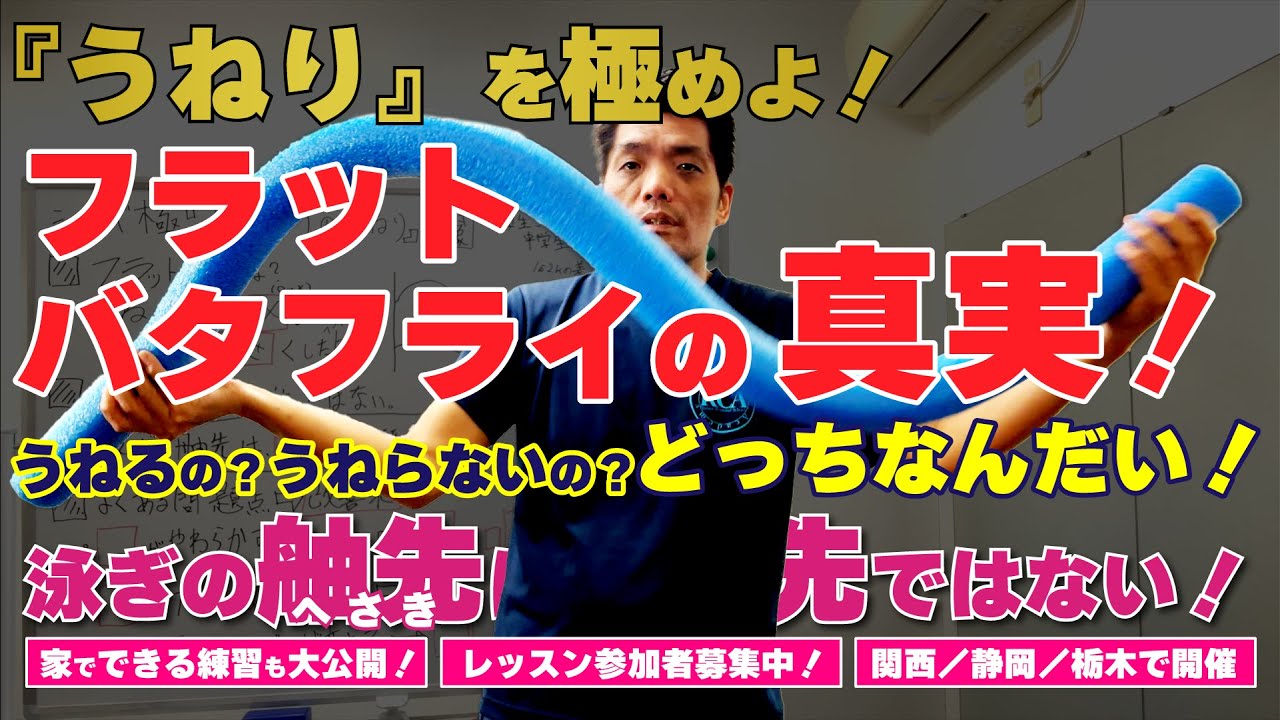 【シリーズ極め】バタフライのうねりを極めよ❗️正しいフラットバタフライとは⁉️初心者バタフライからの脱却！　 #JO  #競泳 　#バタフライ　#うねり