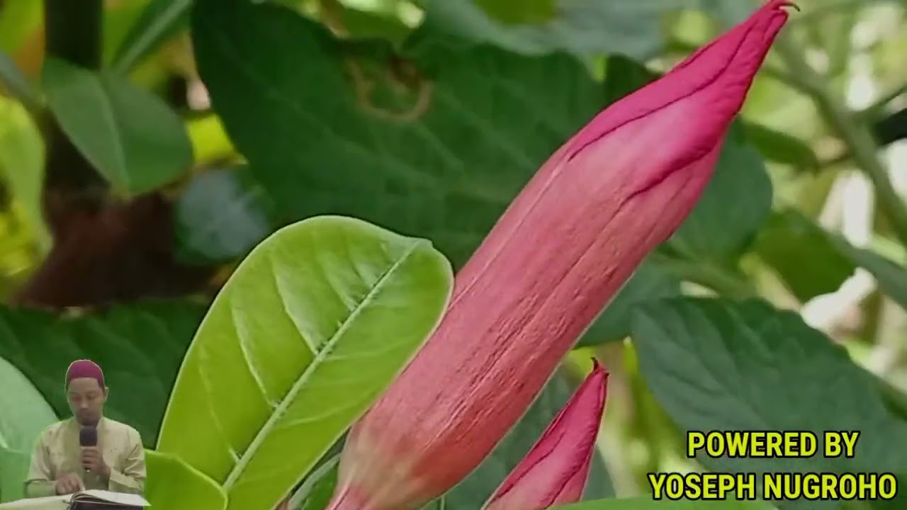 УШБУ СУРАНИ ХАР КУНИ УҚИНГ ЁКИ ЭШИТИНГ Кучли дуо, суралар