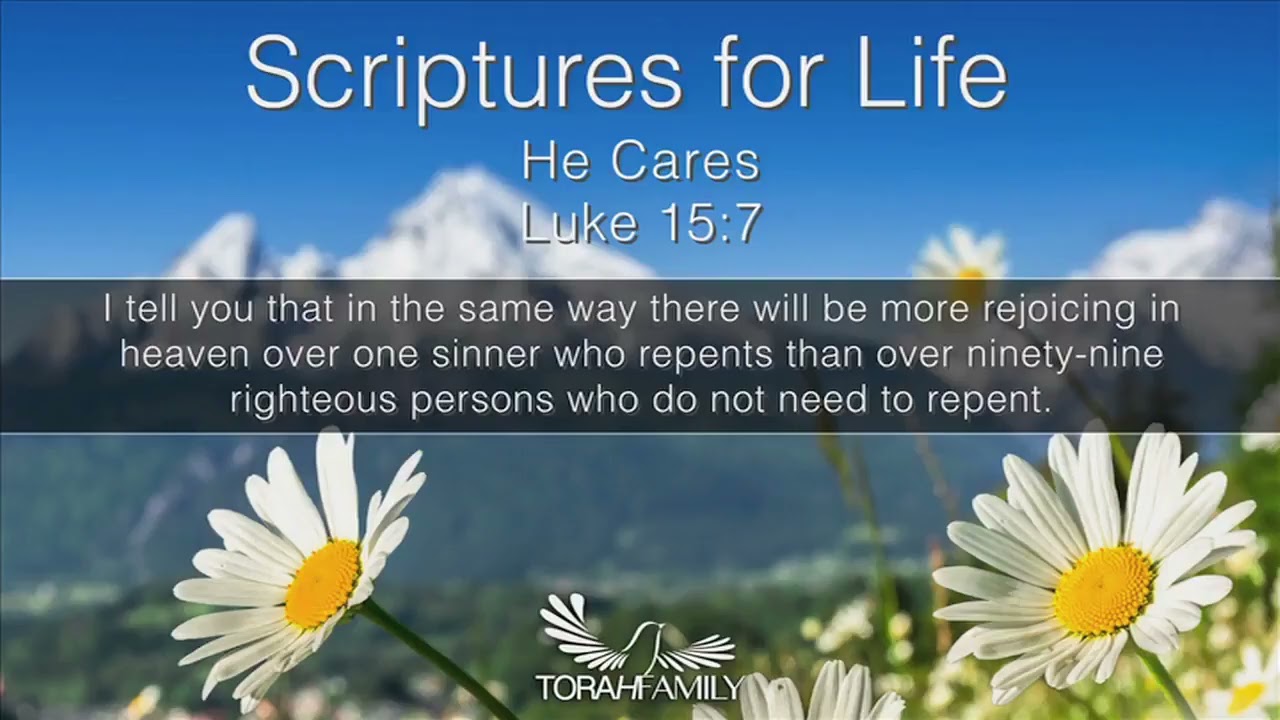 Scriptures for Life  |  He Cares