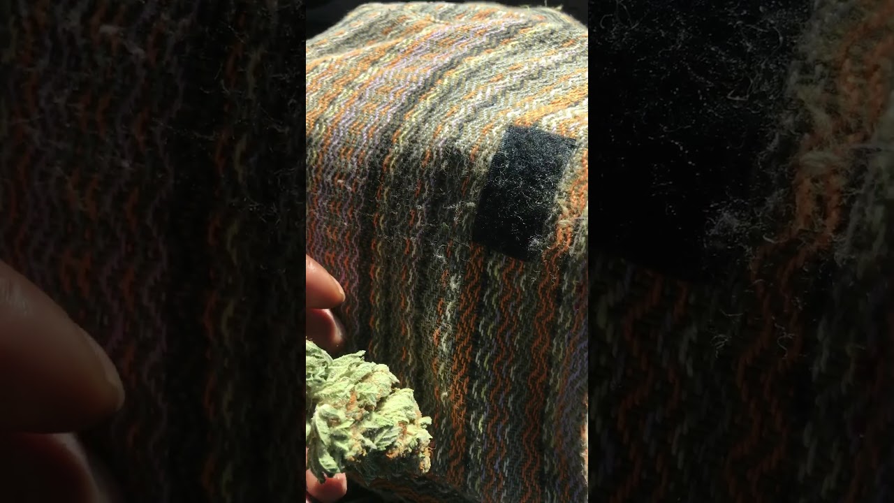 Lost coast og
