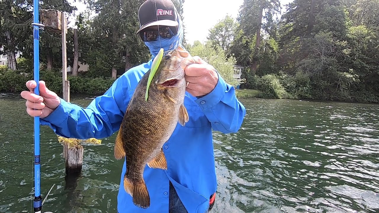 Lake Whatcom Spring Smallmouth