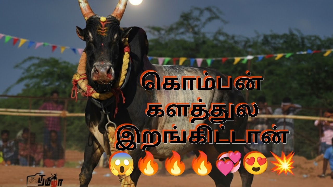 காதல் வானிலே 💞 ep:1 இதே பூஞ்சோலை ஞாபக இருக்குல்ல 🔥 துரை ஐயா இருக்கும போது நமக்கு என்ன பயம் ஓகே 💥