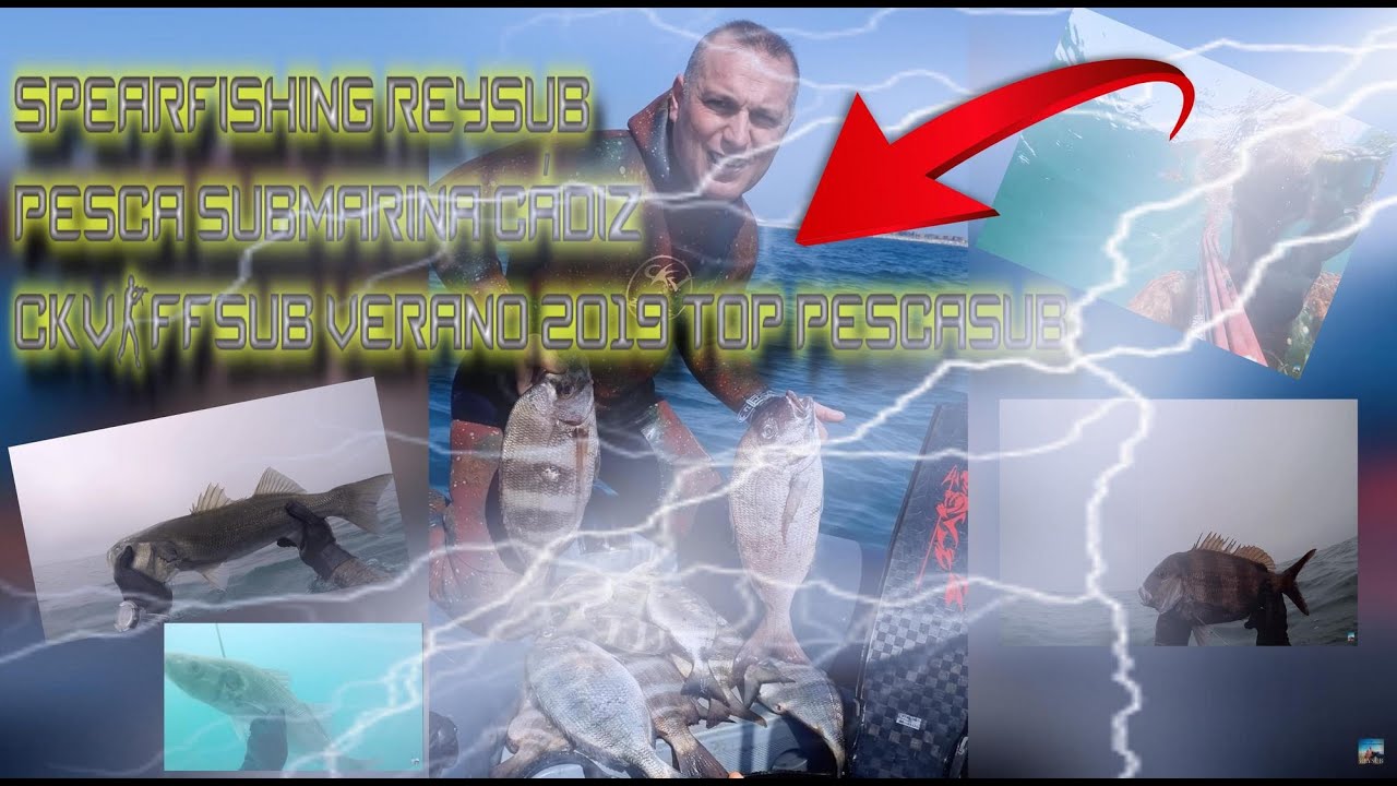 PESCA SUBMARINA REYSUB 🐉🐲 SPEARFISHING🔱CÁDIZ /CKV-FFSUB VERANO 2019 TOP PESCASUB 🐟🐠