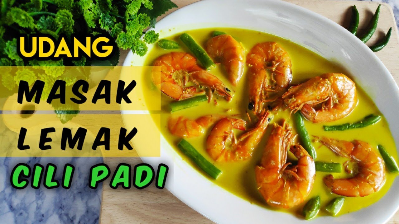 UDANG MASAK LEMAK CILI API | TIPS KUAH YANG SEDAP TERANGKAT😉