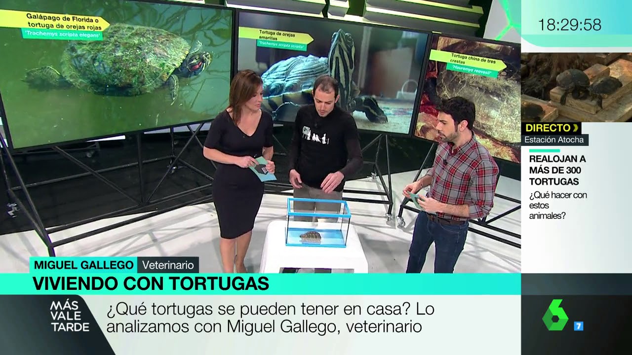 EL CENTRO VETERINARIO MADRID EXÓTICOS EN DIRECTO EN EL PROGRAMA 