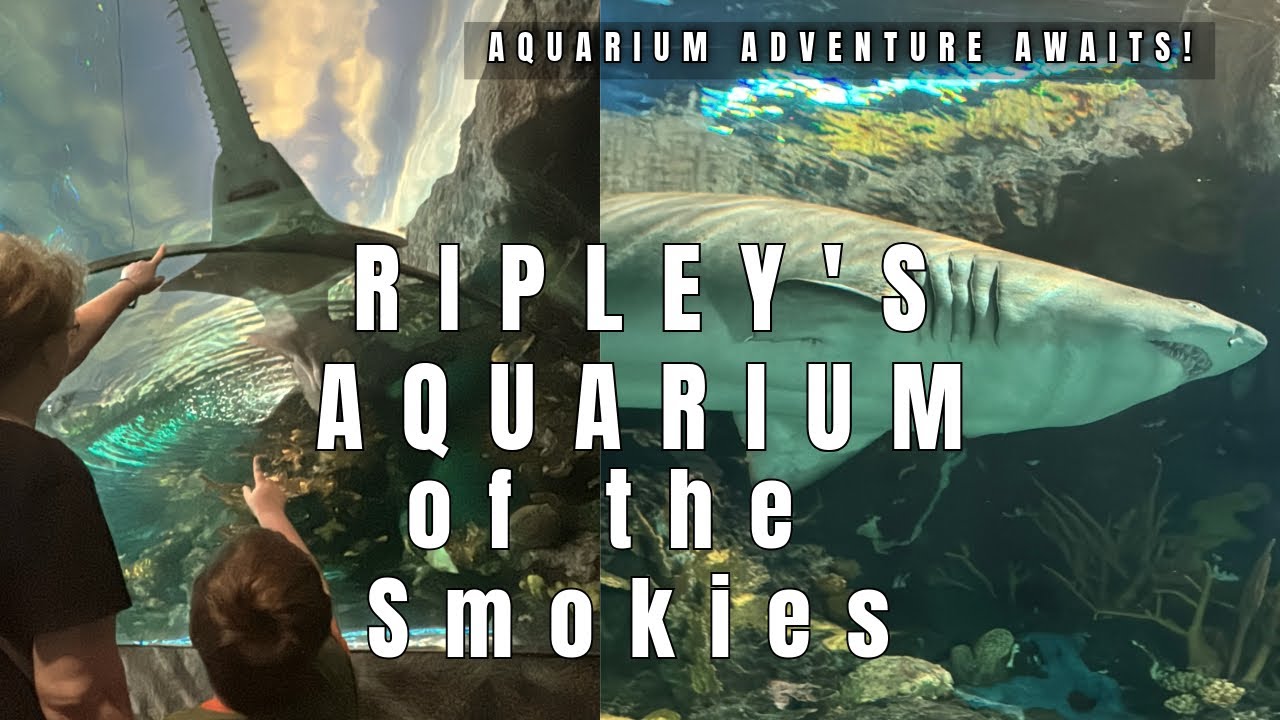 Ripley's Aquarium of the Smokies - Gatlinburg, Tennessee