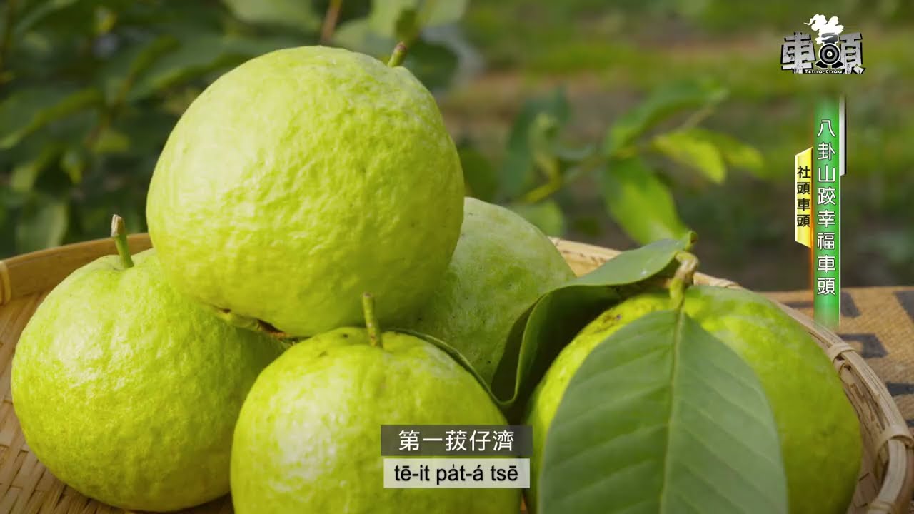 《車頭》tshia-thâu｜社頭站｜社頭有三濟｜食便當看文物｜襪仔🧦的故鄉