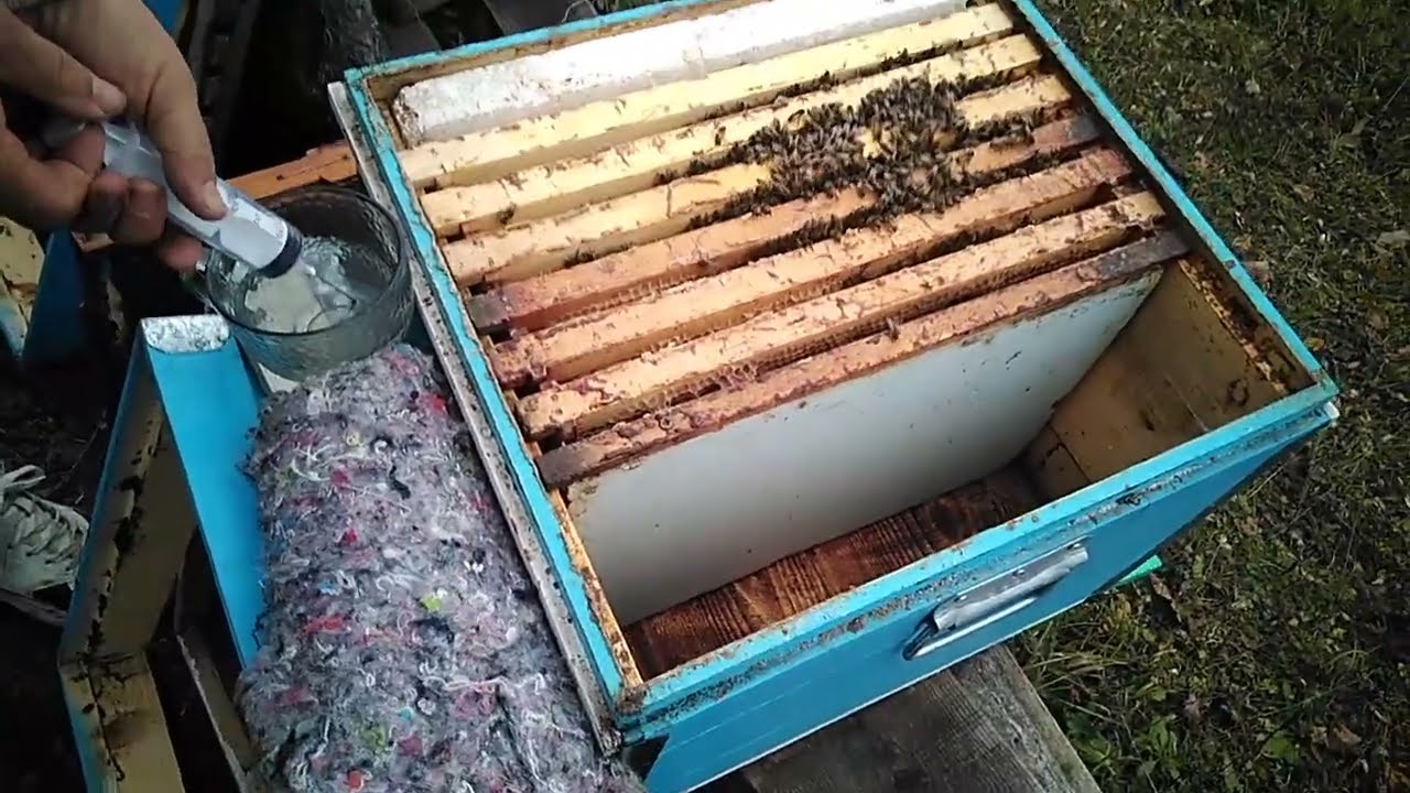 Tratament bio foarte eficient,ultima intervenție în stupi pe anul 2025