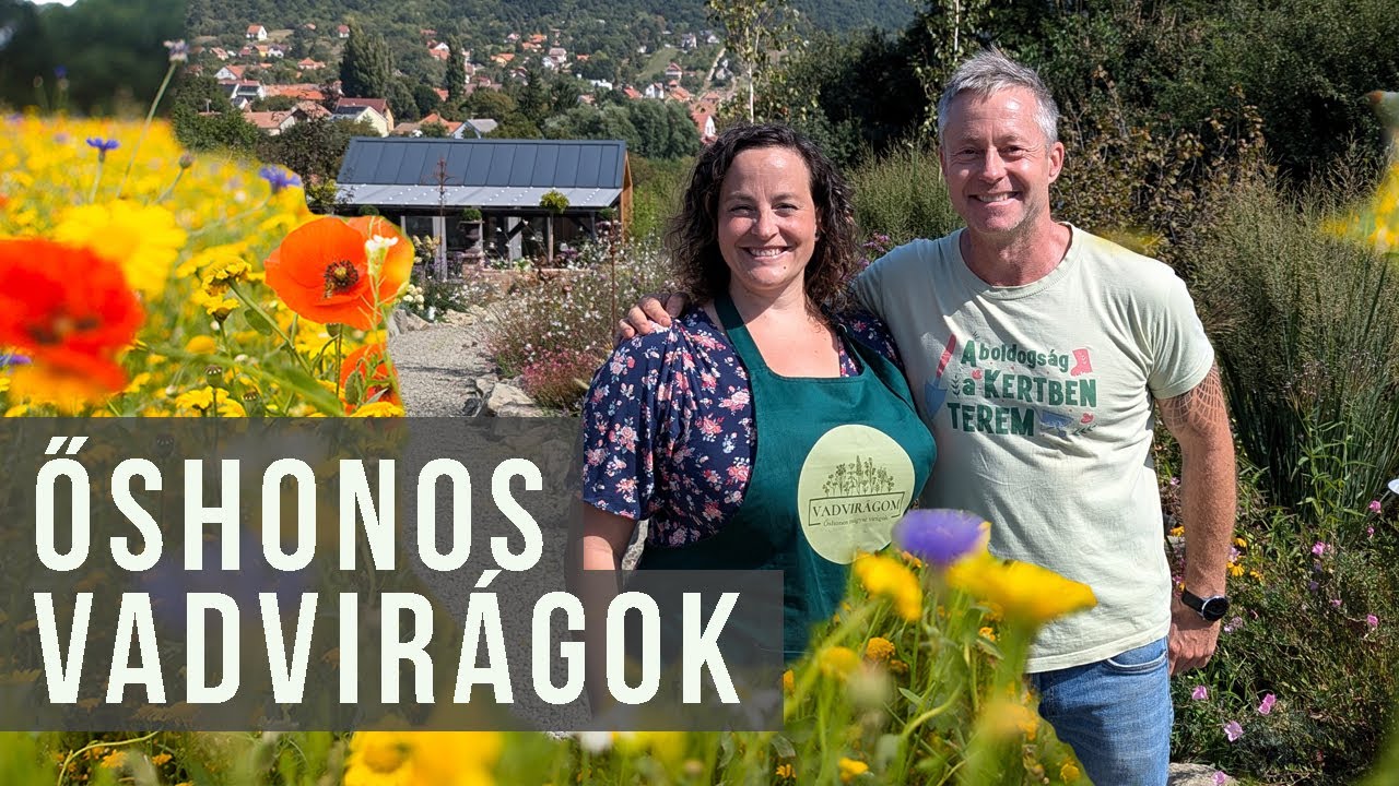 Őshonos vadvirágokat vetünk - igen, most ősszel! | kert TV